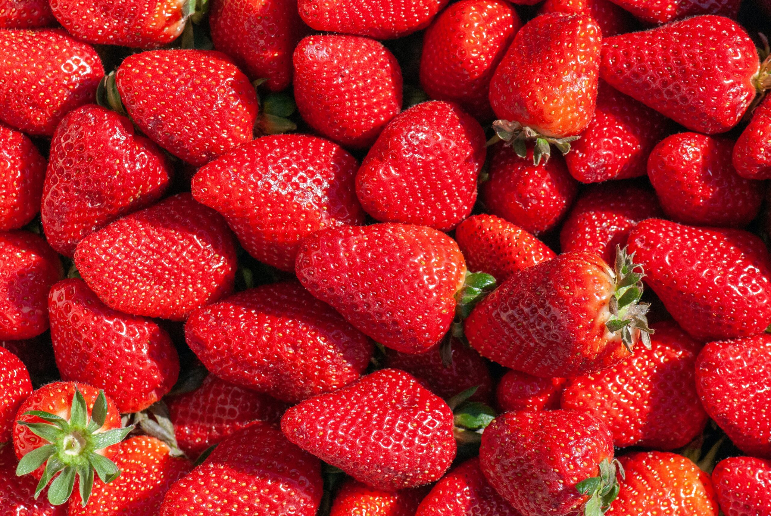 Seasonal Inspiration: Maltese Strawberries at Le GV